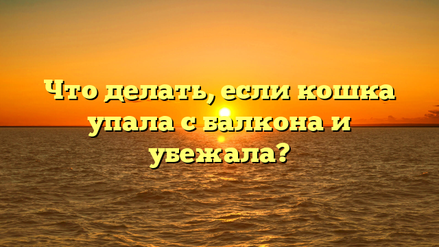 Что делать, если кошка упала с балкона и убежала?
