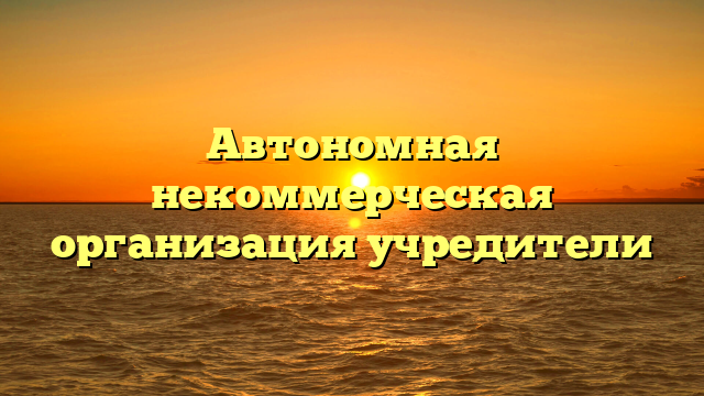 Автономная некоммерческая организация учредители